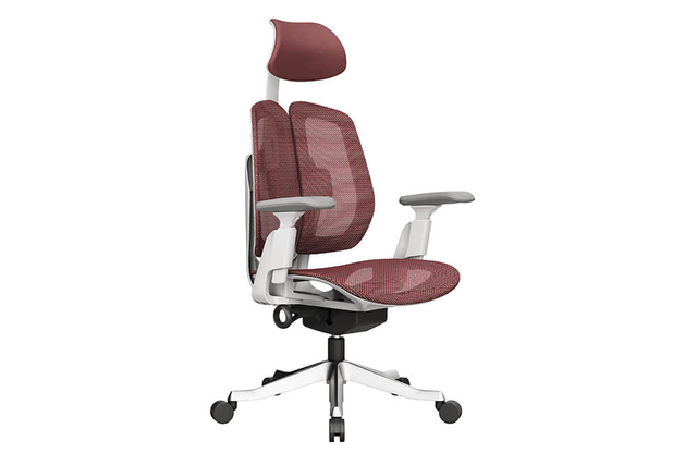 Chaise de bureau ergonomique avec support lombaire